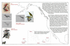 bri29 hawaii to cook inlet_thumb.gif